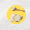 Organic Shea Butter (Organic & Refined)